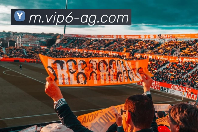 App Interface Preview